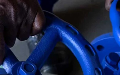 Unlocking Business Value through Ops Excellence and Customer Care