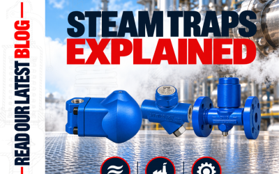 Steam Traps Explained: Types, Applications & How They Work